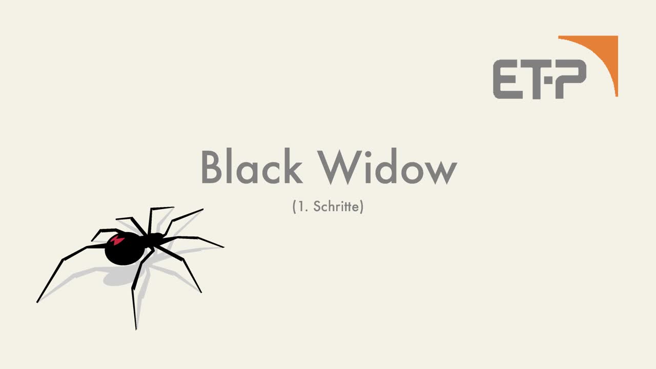 Black Widow in Bad Abbach - ET-P ElektroTechnik Peter